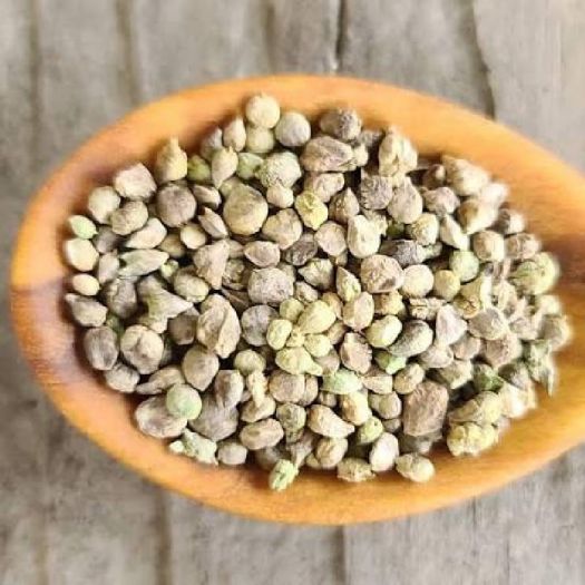 Spinach Seeds Manufacturers, Suppliers, Exporters in Valencia