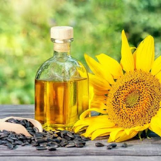 Sunflower Seed Oil Manufacturers, Suppliers, Exporters in Bologna