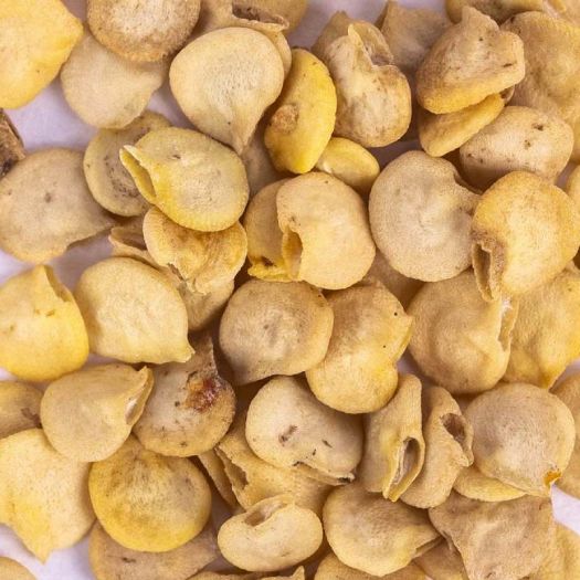 Sweet Pepper Seeds Manufacturers, Suppliers, Exporters in Valencia