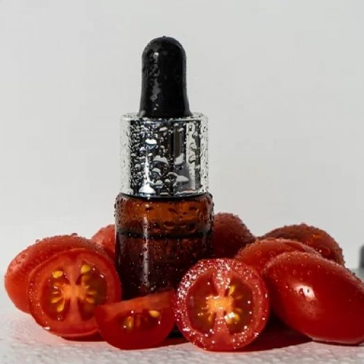 Tomato Seed Oil Manufacturers, Suppliers, Exporters in Bologna